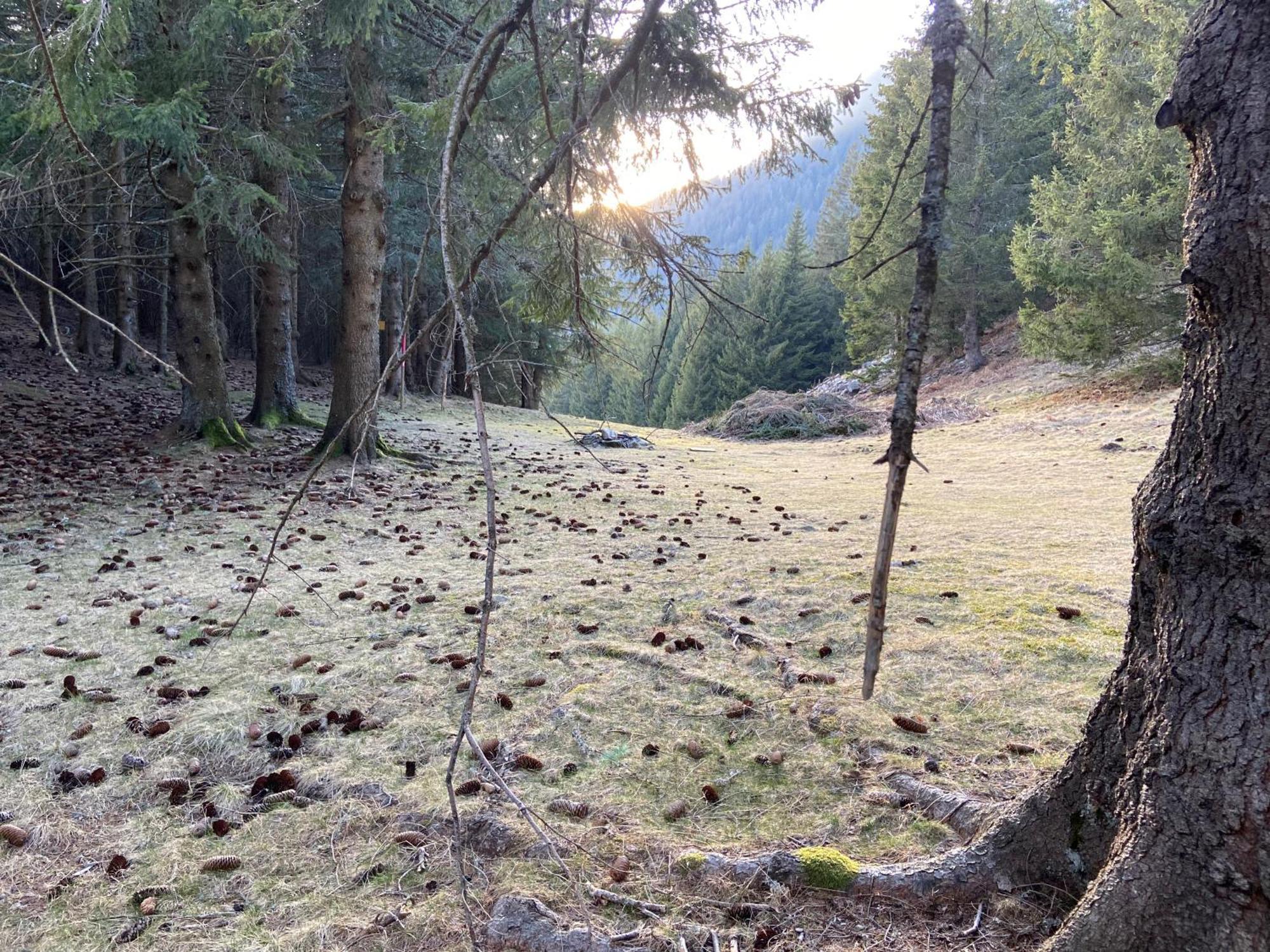 Do-Minus Boutique Home & Private Spa Ca Pedrot Mountain Cottage Monte Carasso Exterior foto